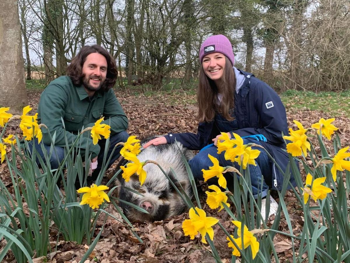 Starry Meadow & Rescued Animal Experiences Vila Great Yarmouth Exterior foto