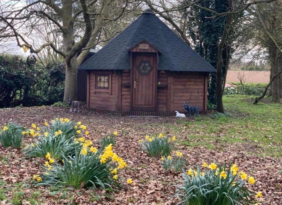 Starry Meadow & Rescued Animal Experiences Vila Great Yarmouth Exterior foto