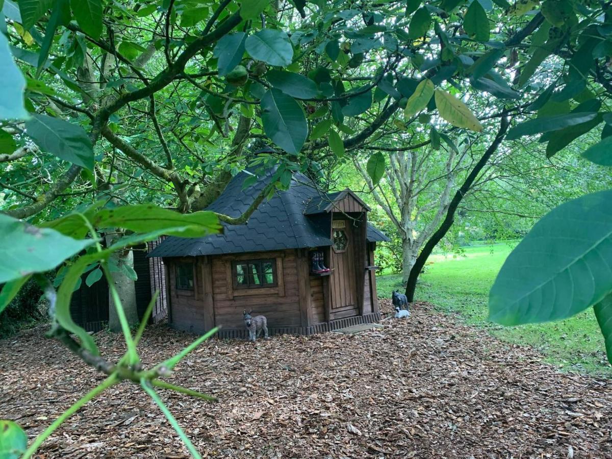 Starry Meadow & Rescued Animal Experiences Vila Great Yarmouth Exterior foto
