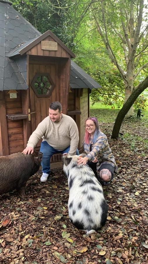 Starry Meadow & Rescued Animal Experiences Vila Great Yarmouth Exterior foto