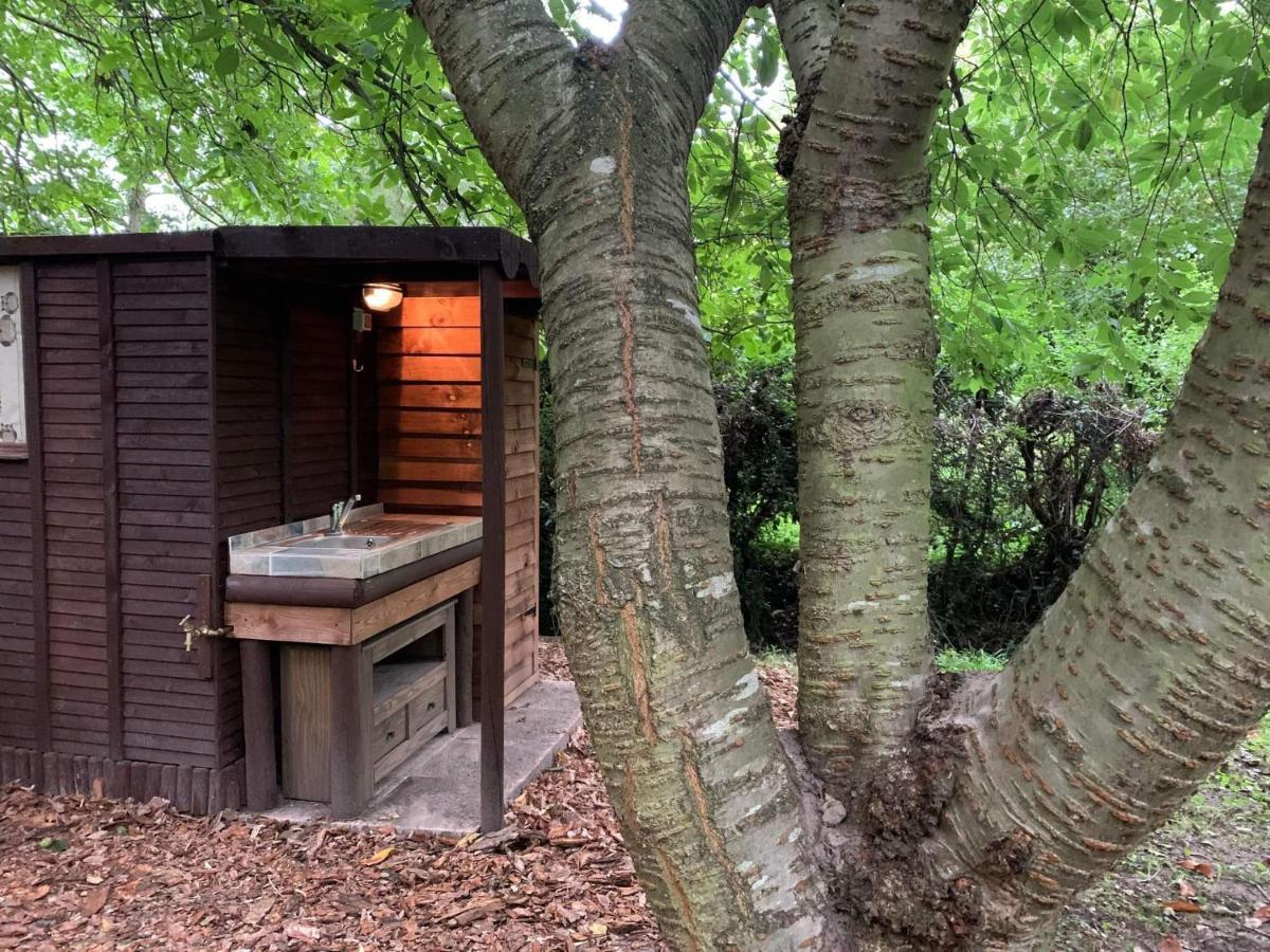 Starry Meadow & Rescued Animal Experiences Vila Great Yarmouth Exterior foto