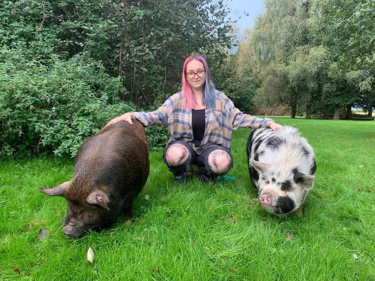 Starry Meadow & Rescued Animal Experiences Vila Great Yarmouth Exterior foto