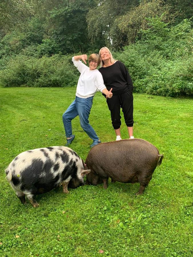 Starry Meadow & Rescued Animal Experiences Vila Great Yarmouth Exterior foto