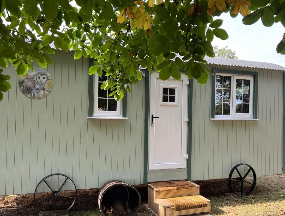 Starry Meadow & Rescued Animal Experiences Vila Great Yarmouth Quarto foto