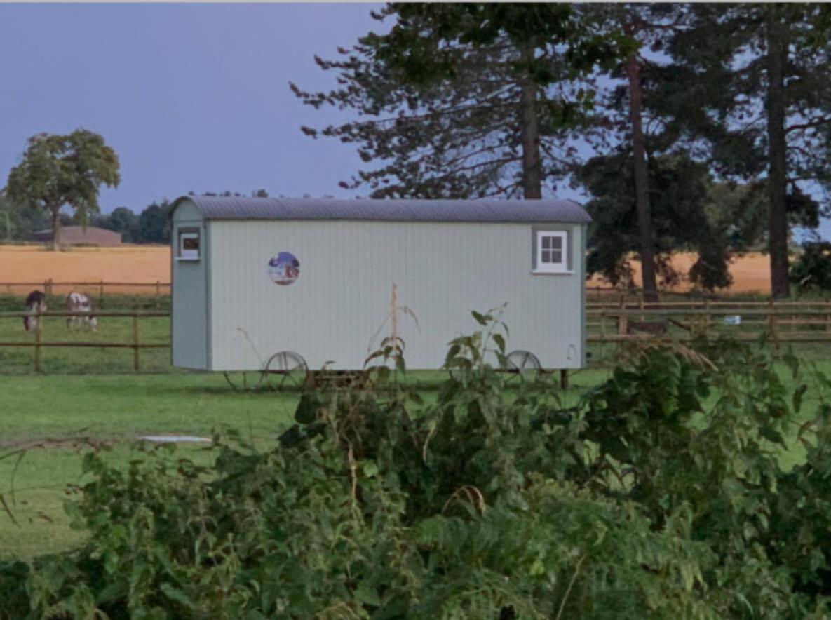 Starry Meadow & Rescued Animal Experiences Vila Great Yarmouth Exterior foto