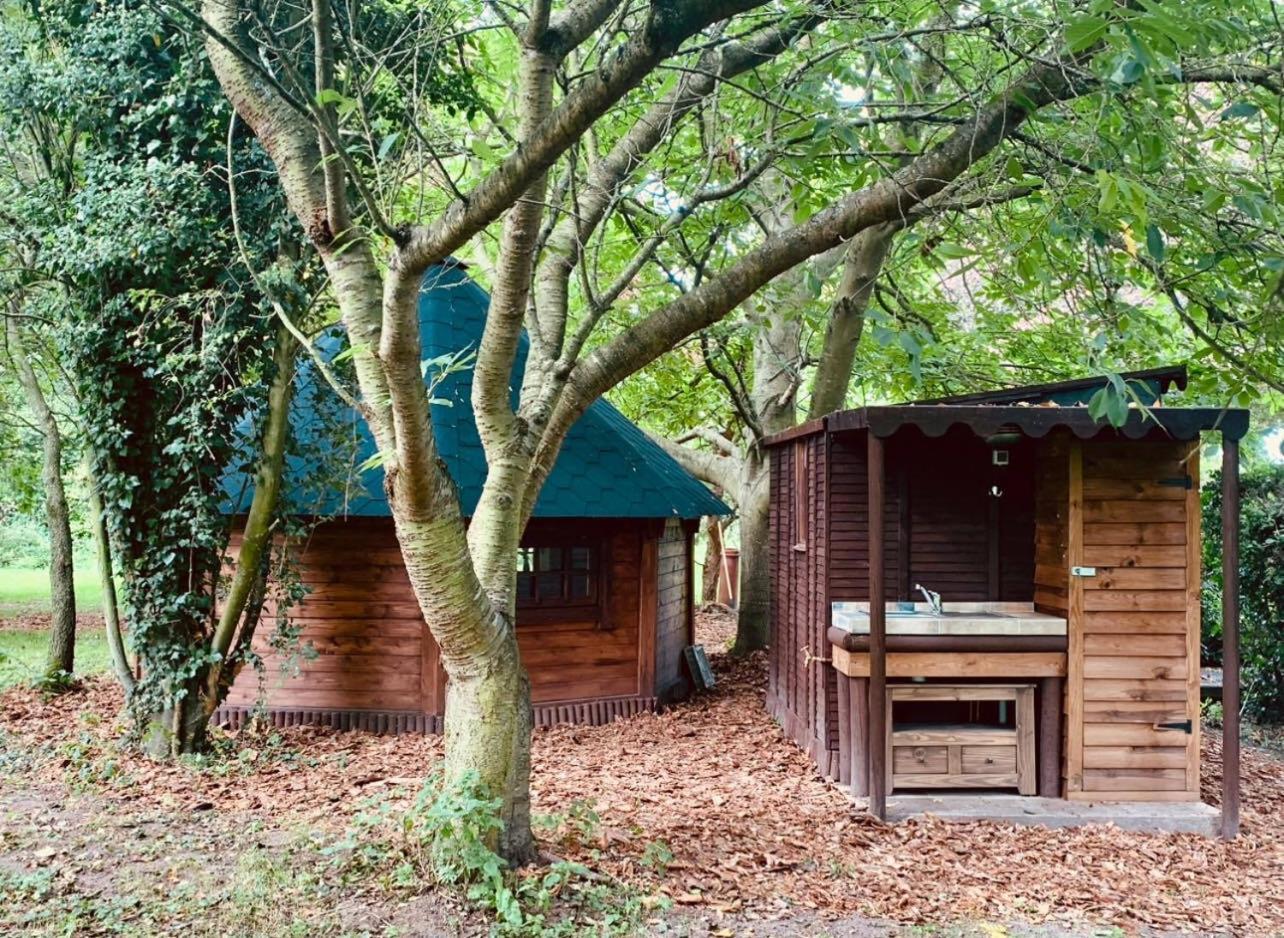 Starry Meadow & Rescued Animal Experiences Vila Great Yarmouth Exterior foto