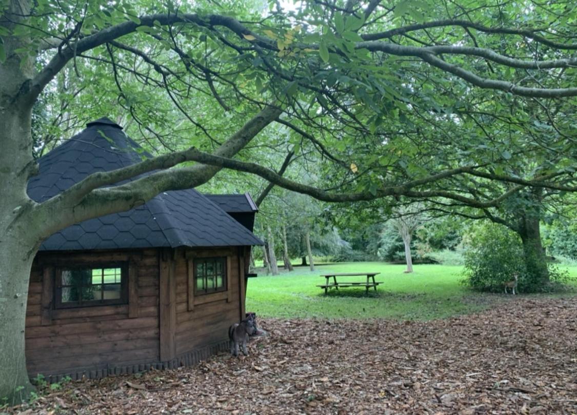 Starry Meadow & Rescued Animal Experiences Vila Great Yarmouth Exterior foto